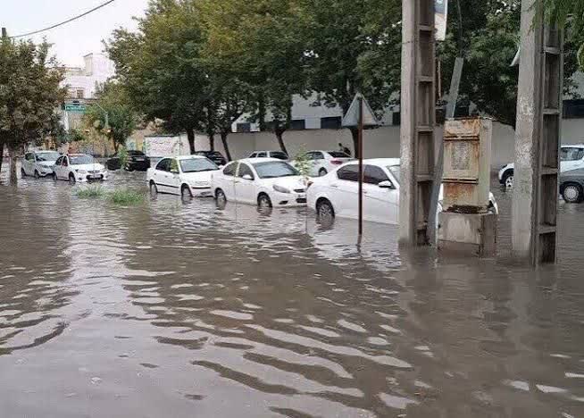 تصویر شاخص
